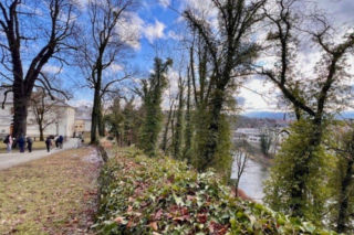 Wiosna przyszła wcześniej niż zwykle. Tu widać to najlepiej