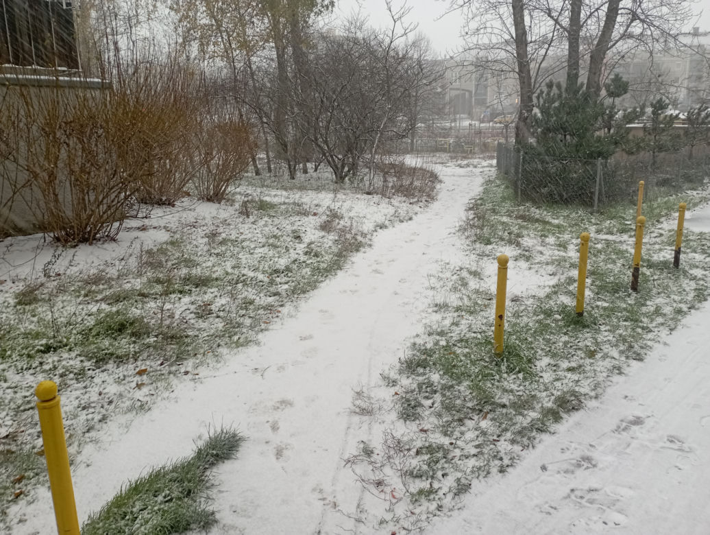 Zima w Poznaniu. Pierwszy śnieg spadł w Wielkopolsce