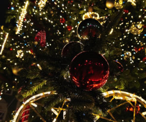 Choinka przed urzędem miasta w Szczecinie