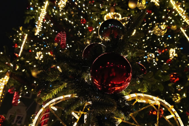 Choinka przed urzędem miasta w Szczecinie