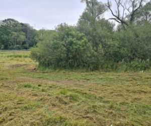Moszczaniec. Podczas koszenia trawy zginął 25-latek [ZDJĘCIA]