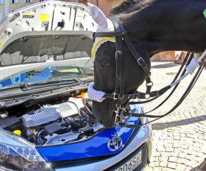 Toyota Yaris Hybrid dla Straży Miejskiej we Wrocławiu