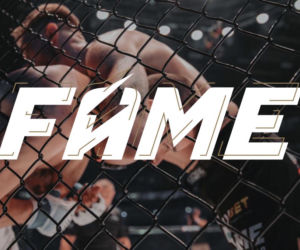 FAME MMA: Co wiadomo o grze?