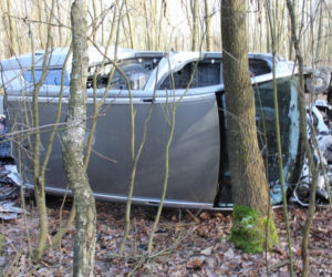 Dziupla samochodowa pod Tłuszczem