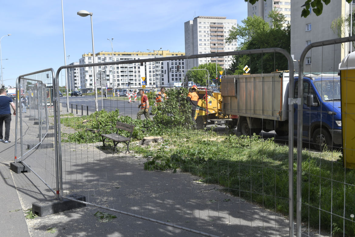 Wycinka drzew na Mokotowie. Mieszkańcy zbulwersowani, tramwajarze uspokajają