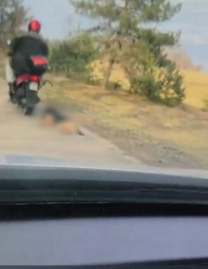 72-latek ciągnął psa za motorowerem. Zwierzę nie przeżyło