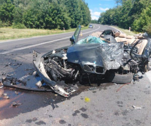 Nie żyje 40-letni kierowca BMW. Tragiczny wypadek na Lubelszczyźnie