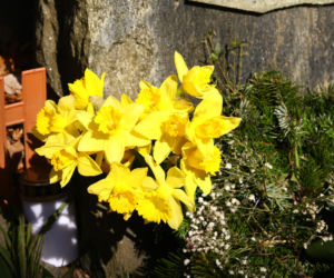 Tak wygląda grób Mirosława Krawczyka w Gdańsku