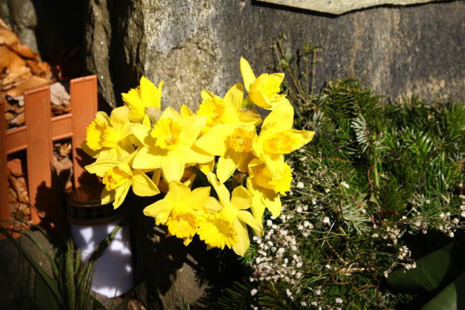 Tak wygląda grób Mirosława Krawczyka w Gdańsku