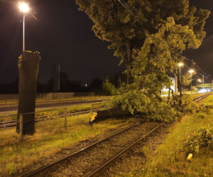 Szkody po nawałnicy w centrum Łodzi 
