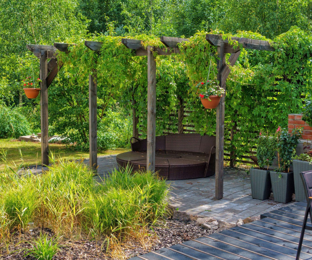 Jak zbudować drewnianą pergolę i jakimi pnączami ją obsadzić