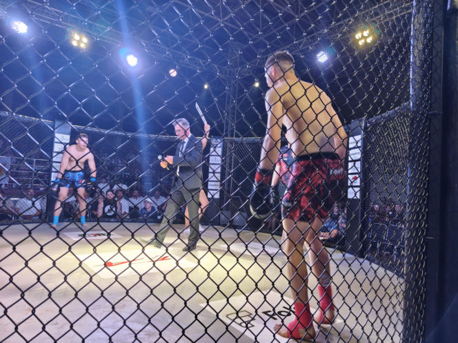 Fotorelacja z Gali Sportów Walki Taurus Fight Arena 2026 w Siedlcach