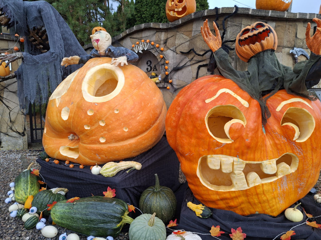 Oto najbardziej halloweenowy dom w Świętokrzyskiem!