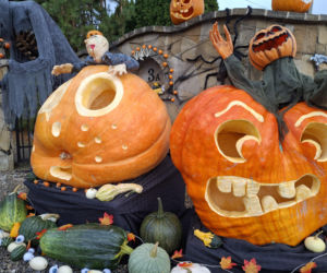 Oto najbardziej halloweenowy dom w Świętokrzyskiem!