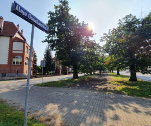 Rozpoczęły się prace na Alejach Ossolińskich w Bydgoszczy
