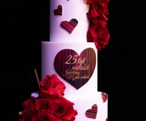 Ilona Łepkowska. Skandal w M jak Miłość