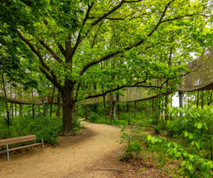 Park Żerański w Warszawie