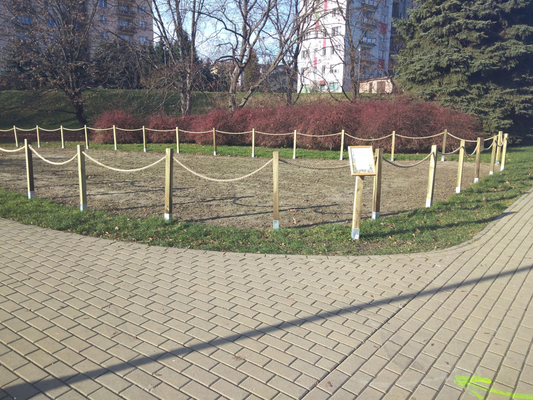 Łąka kwietna powstała na rzeszowskich bulwarach. Kwiaty będą walczyły ze smogiem