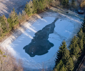 Wiktorek wpadł z mamą do stawu