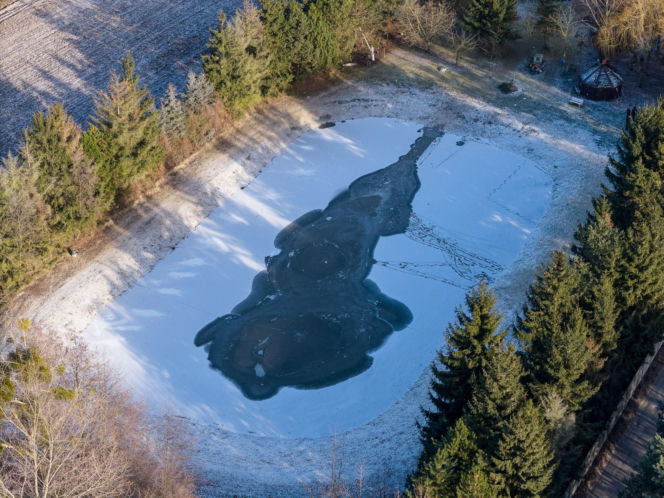 Wiktorek wpadł z mamą do stawu
