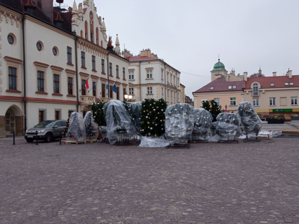 Trwa montaż świątecznej choinki na Rynku w Rzeszowie