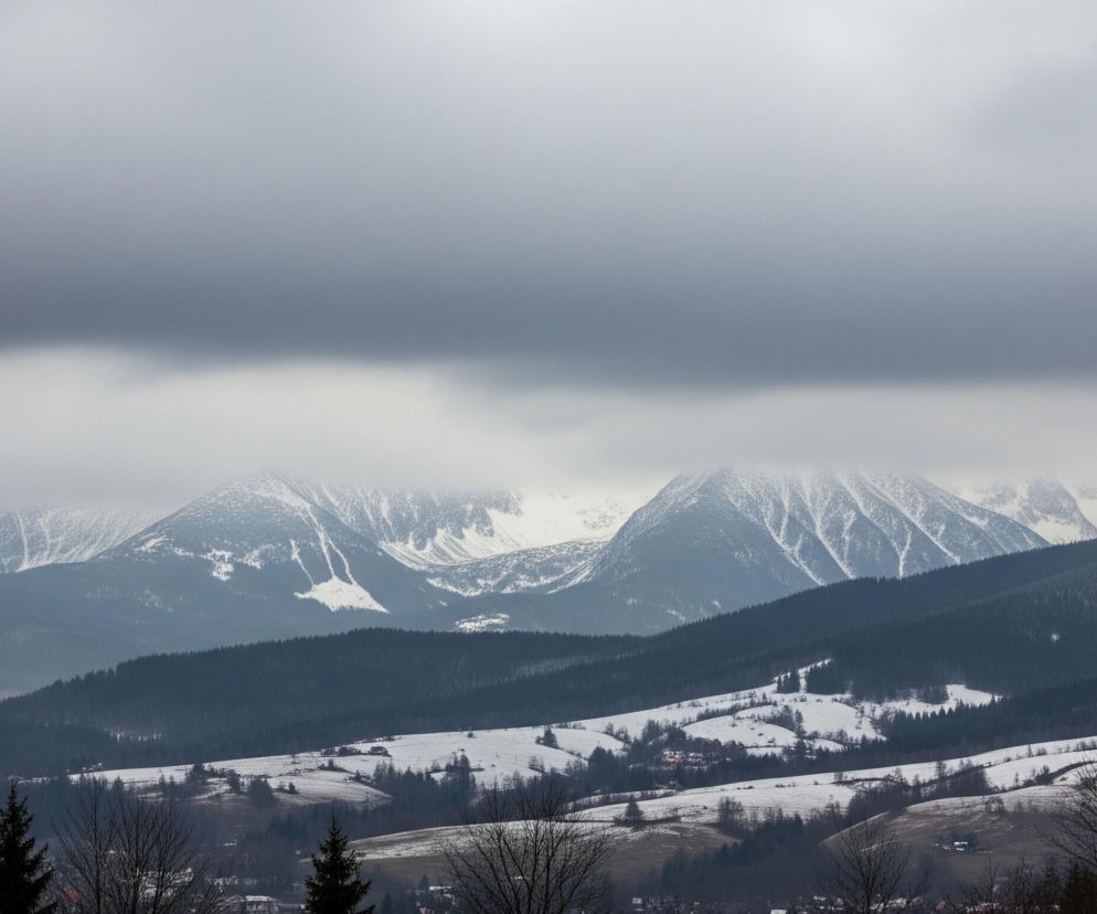 Krajobraz zimowy dominują odległe, ośnieżone szczyty górskie, częściowo zasłonięte przez niskie, szare chmury i mgłę. Poniżej rozciągają się zalesione wzgórza w ciemnych odcieniach zieleni i granatu, przechodzące w bliższy plan, gdzie znajdują się pokryte śniegiem pola, porozrzucane domy i drogi. Na pierwszym planie widoczne są gałęzie bezlistnych drzew i ciemnozielone iglaki, z lekkimi, zamglonymi błękitami w dolnych partiach i chmurami, które stopniowo ciemnieją ku górze, dominując niebo.