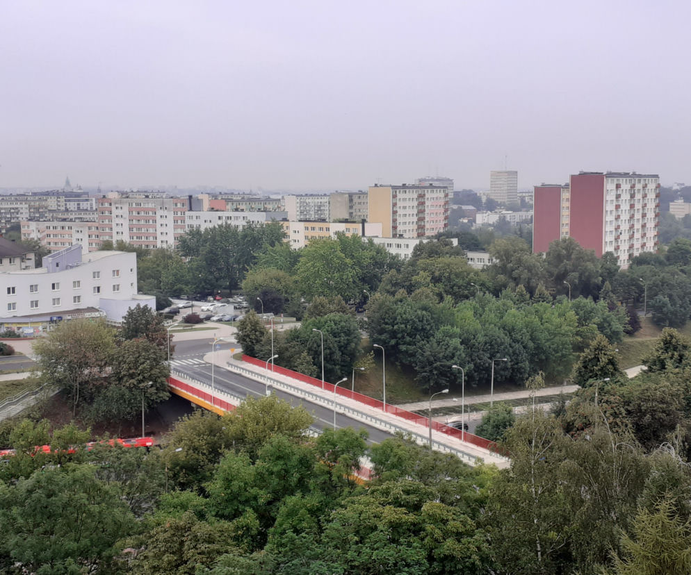 LPEC planuje inwestycję na Czechowie. Będzie wycinka drzew