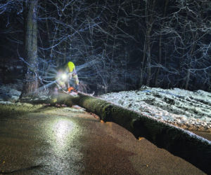 Śnieg przewrócił drzewo i zerwał linię energetyczną