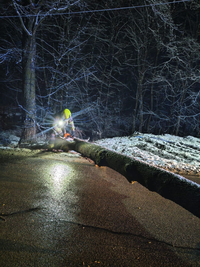Śnieg przewrócił drzewo i zerwał linię energetyczną