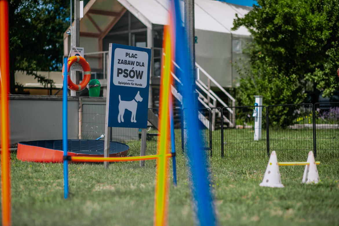 Luksusowe domki na wodzie podbiły serca turystów! Wypocznij wśród szumu fal, blisko natury