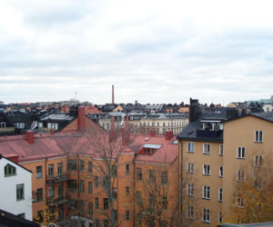 Zdjęcie 6296