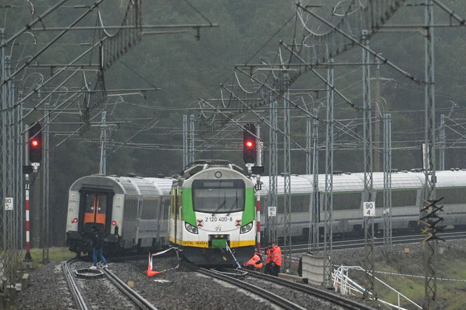 Nagłe zatrzymanie pociągu pod Puławami. Mamy zdjęcia!