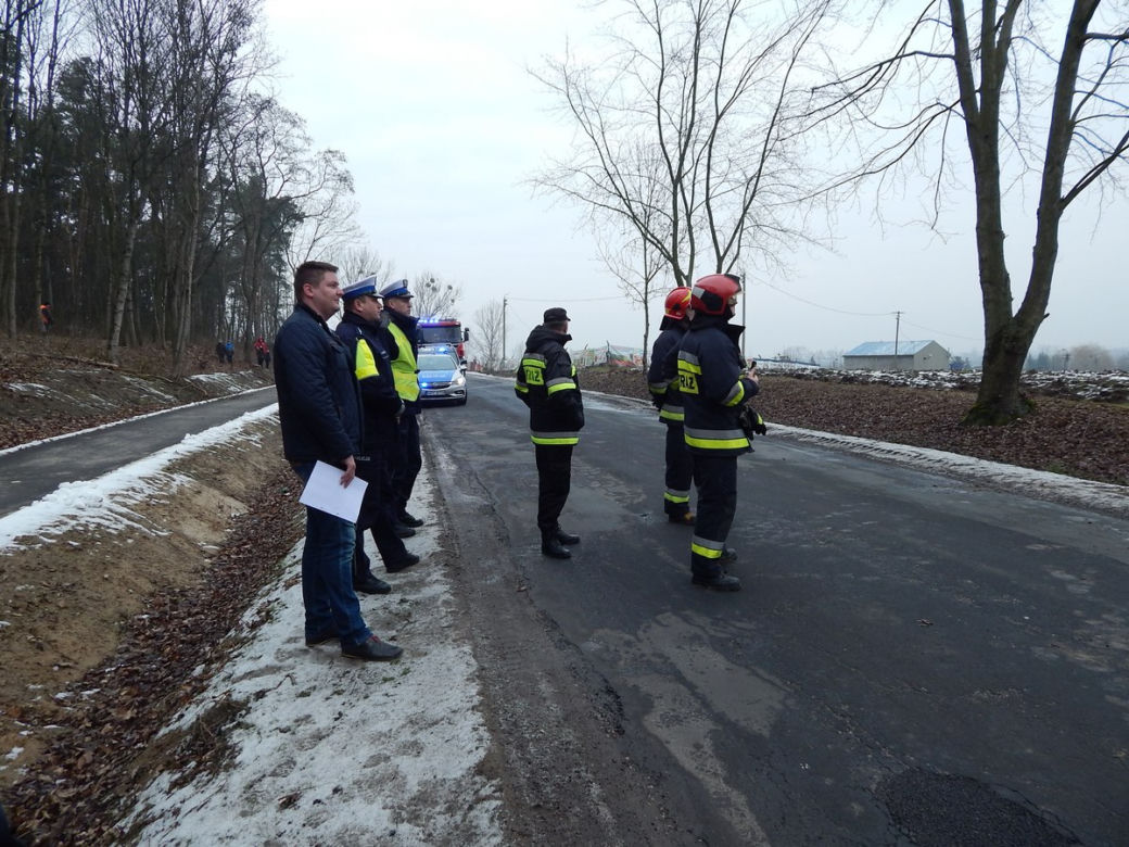 Wypadek przy wycince drzew - mężczyzna miał 0,9 promila