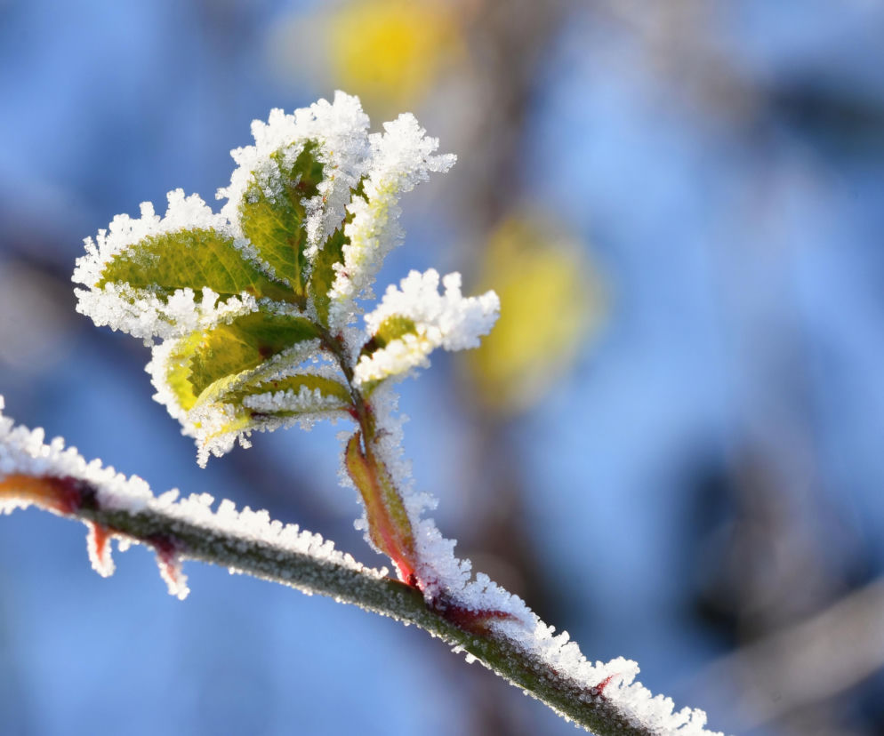 Koniec wiosennej aury. Zmiana pogody zaskoczy miliony Polaków!