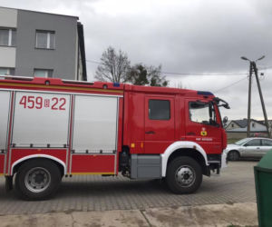 Knyszyn. Kot utknął w rurze. Musieli interweniować strażacy