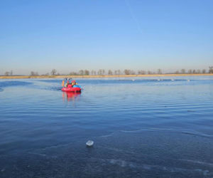 Makabryczny widok nad jeziorem! 50 martwych łabędzi. Wiadomo, co je zabiło
