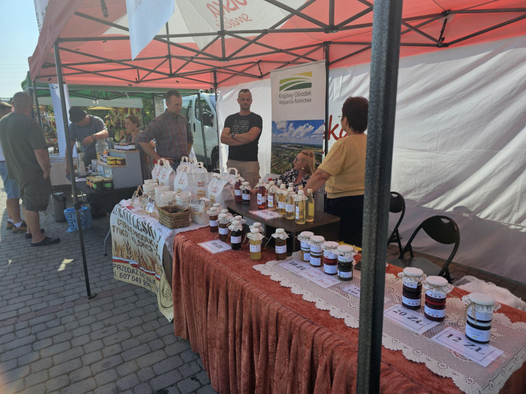 6. Eko-bazarek w Parku Papieskim 