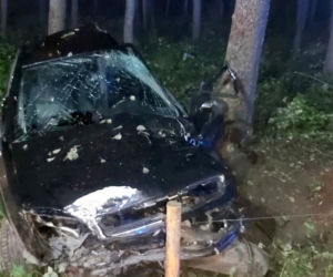 Wypadek na trasie Kowalewo - Mikuty. Samochód uderzył w drzewo. Kierowca w ciężkim stanie trafił do szpitala [ZDJĘCIA]