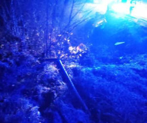 TAJEMNICZY wypadek w Kadczy. Pusty samochód znaleziony w przydrożnym rowie