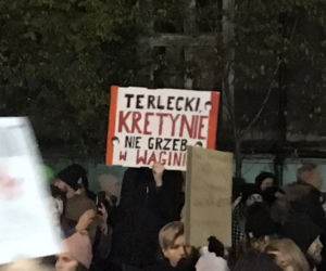 Na ulicach Katowic pojawiły się tłumy. Protestujący szli pod hasłem: Ani jednej więcej [ZDJĘCIA]