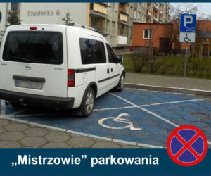 Mistrzowie Parkowania: Zobacz najbardziej kuriozalne pomysły kierowców