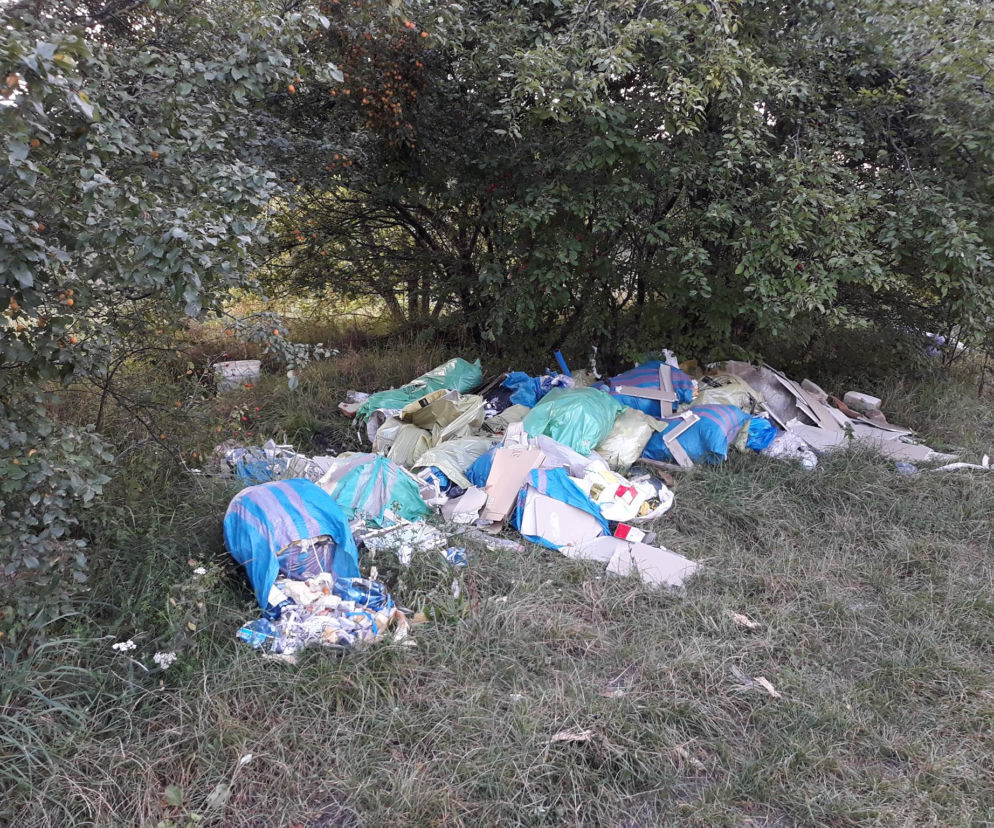 Śmieci w Rezerwacie Wietrznia w Kielcach 