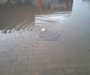 Zalane Starachowice