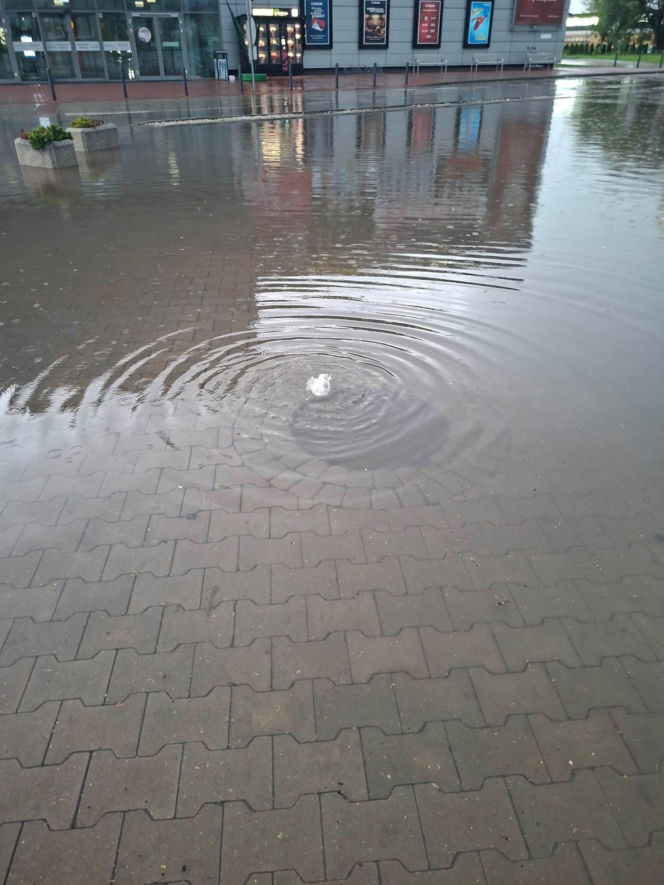 Zalane Starachowice