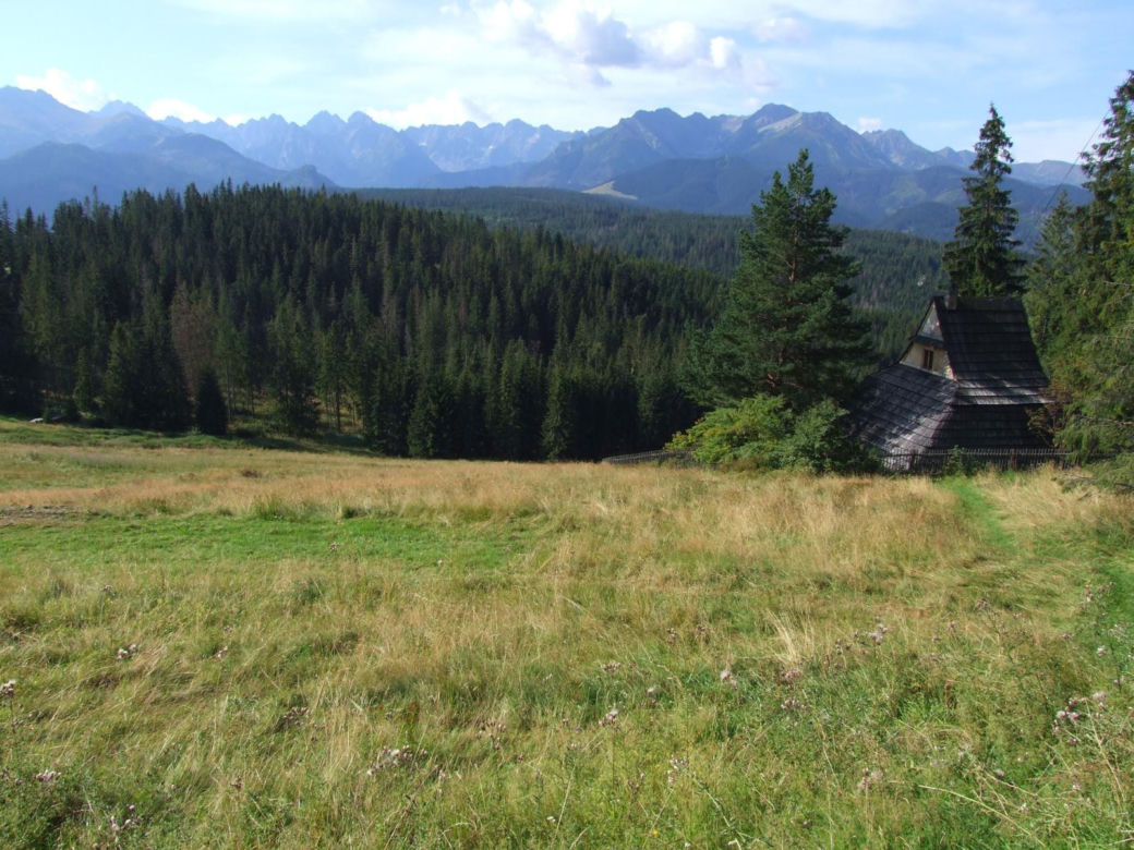 Polana Głodówka