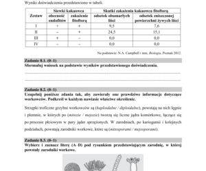 Matura 2019 z biologii [ARKUSZE CKE, ODPOWIEDZI]