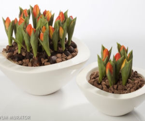 Aranżacja okna: dekoracyjne doniczki i osłonki na kwiaty