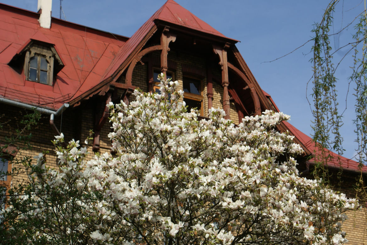 Cieszyński Szlak Kwitnącej Magnolii 