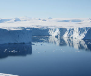 Trump chce Grenlandii. Czy to tylko mrzonki prezydenta?