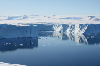 Trump chce Grenlandii. Czy to tylko mrzonki prezydenta?